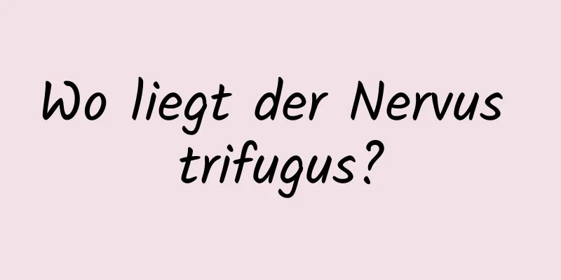 Wo liegt der Nervus trifugus?