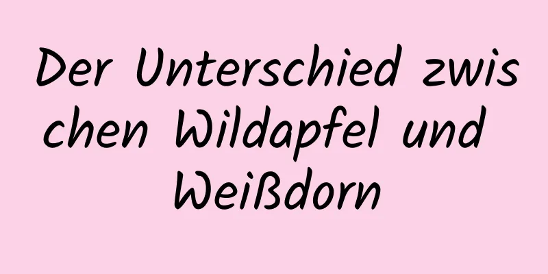 Der Unterschied zwischen Wildapfel und Weißdorn