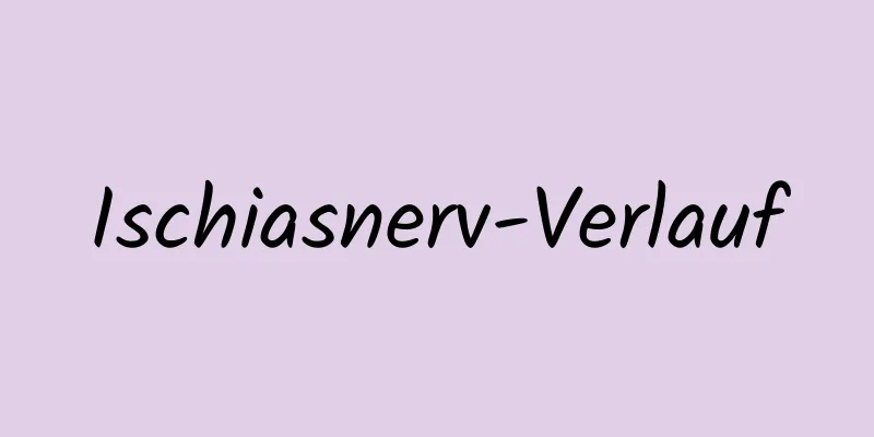 Ischiasnerv-Verlauf
