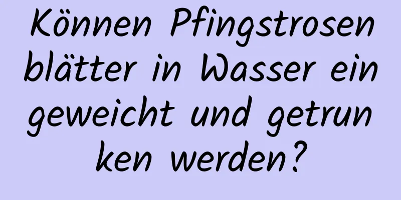 Können Pfingstrosenblätter in Wasser eingeweicht und getrunken werden?