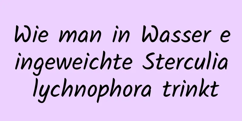 Wie man in Wasser eingeweichte Sterculia lychnophora trinkt