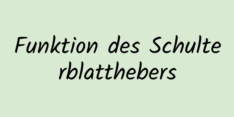 Funktion des Schulterblatthebers