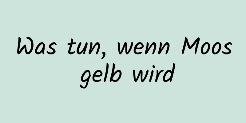 Was tun, wenn Moos gelb wird