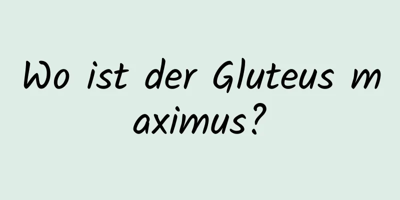 Wo ist der Gluteus maximus?