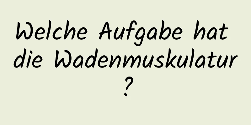 Welche Aufgabe hat die Wadenmuskulatur?