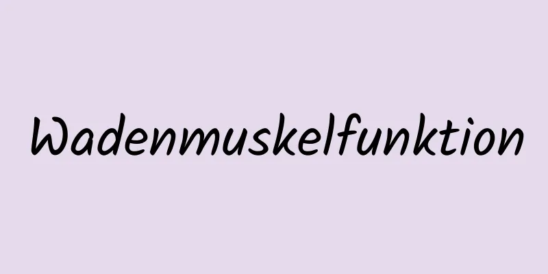 Wadenmuskelfunktion