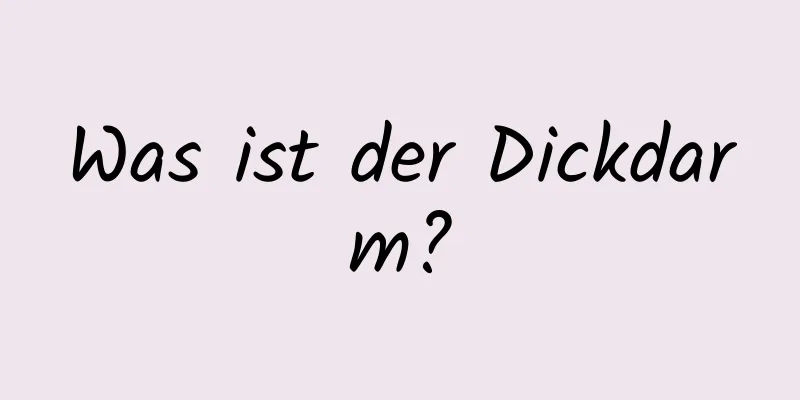 Was ist der Dickdarm?