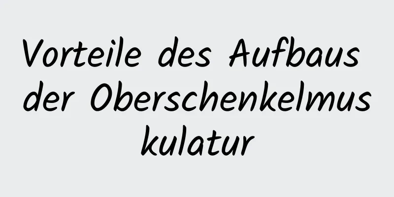 Vorteile des Aufbaus der Oberschenkelmuskulatur