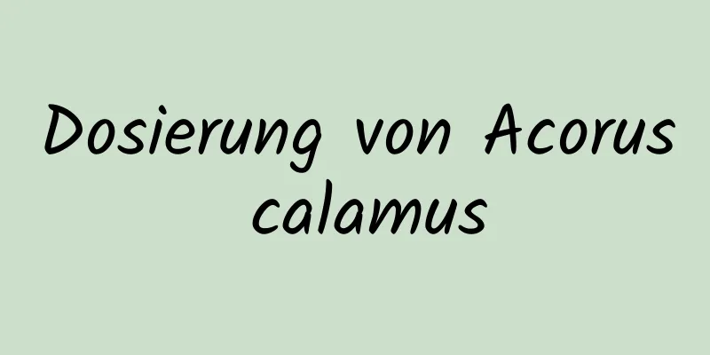 Dosierung von Acorus calamus