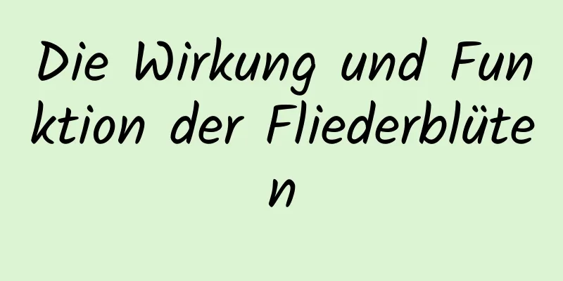 Die Wirkung und Funktion der Fliederblüten