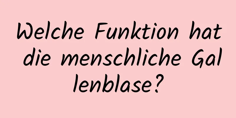 Welche Funktion hat die menschliche Gallenblase?