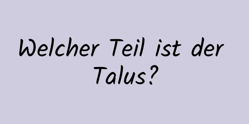 Welcher Teil ist der Talus?