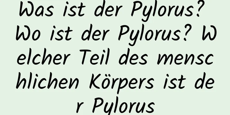 Was ist der Pylorus? Wo ist der Pylorus? Welcher Teil des menschlichen Körpers ist der Pylorus