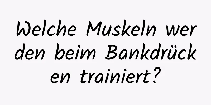 Welche Muskeln werden beim Bankdrücken trainiert?