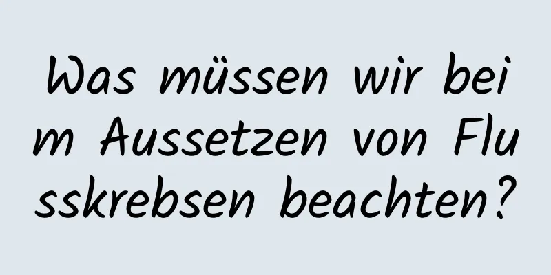 Was müssen wir beim Aussetzen von Flusskrebsen beachten?