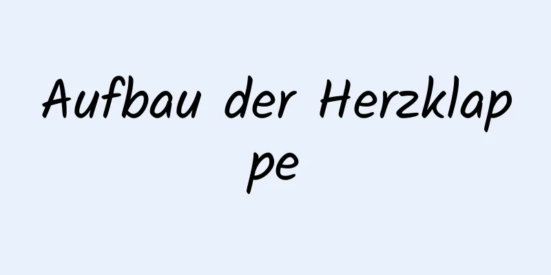 Aufbau der Herzklappe