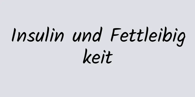 Insulin und Fettleibigkeit