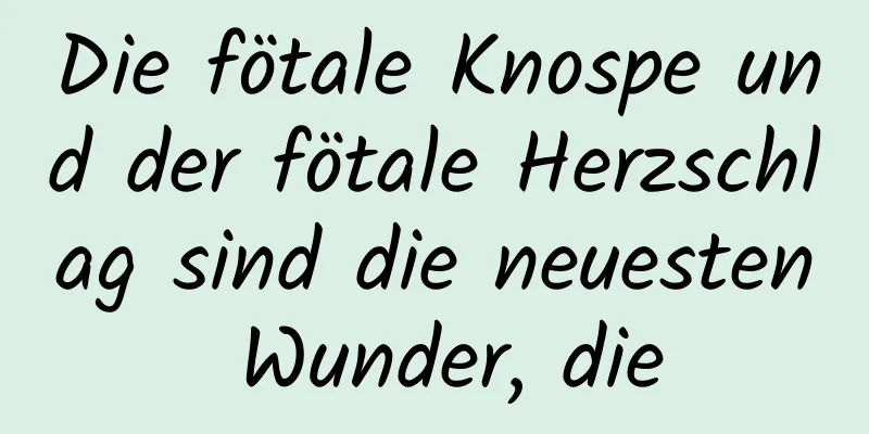 Die fötale Knospe und der fötale Herzschlag sind die neuesten Wunder, die