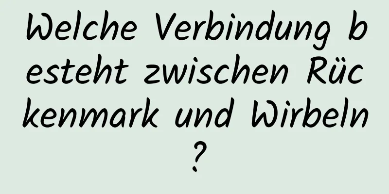Welche Verbindung besteht zwischen Rückenmark und Wirbeln?