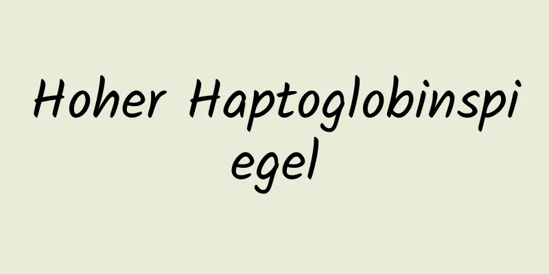 Hoher Haptoglobinspiegel