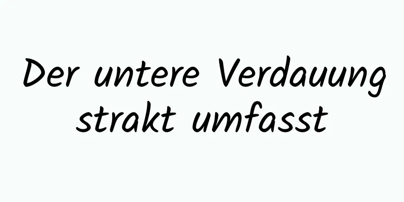 Der untere Verdauungstrakt umfasst