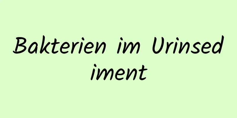 Bakterien im Urinsediment