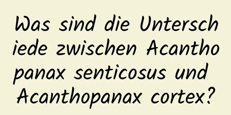 Was sind die Unterschiede zwischen Acanthopanax senticosus und Acanthopanax cortex?