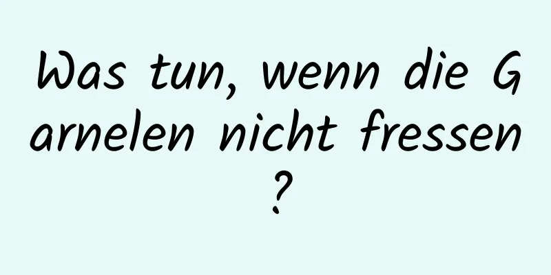 Was tun, wenn die Garnelen nicht fressen?