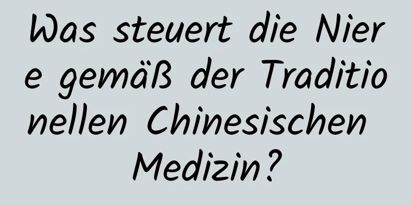 Was steuert die Niere gemäß der Traditionellen Chinesischen Medizin?