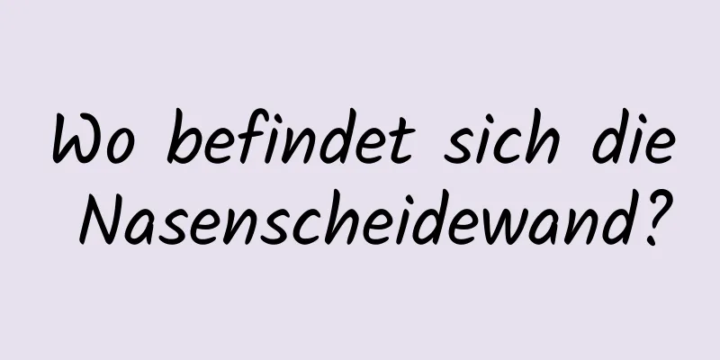 Wo befindet sich die Nasenscheidewand?