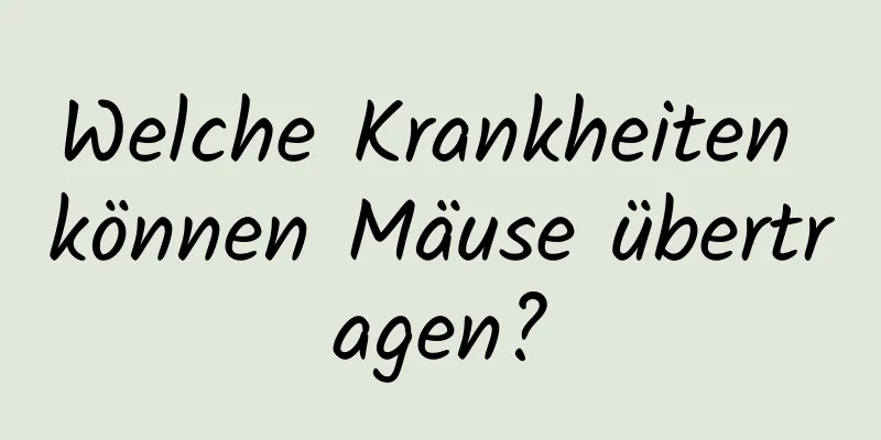 Welche Krankheiten können Mäuse übertragen?