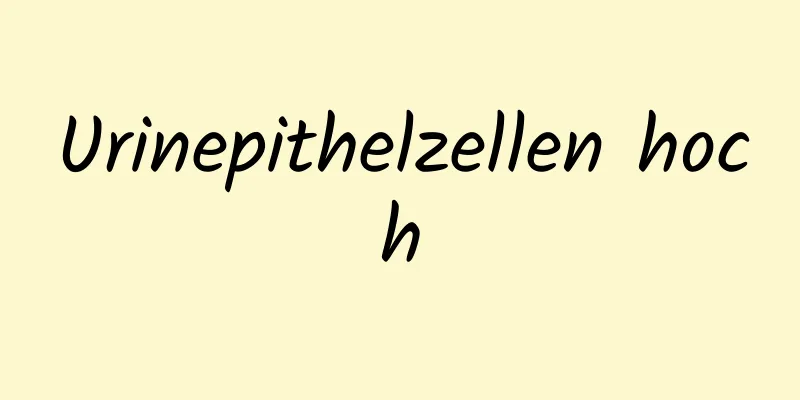 Urinepithelzellen hoch