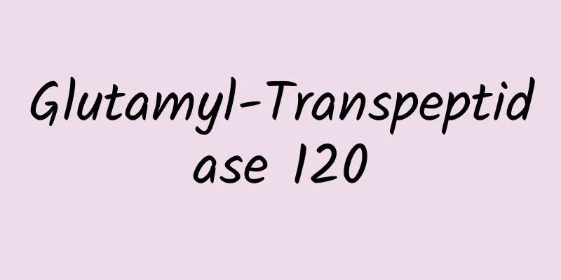 Glutamyl-Transpeptidase 120