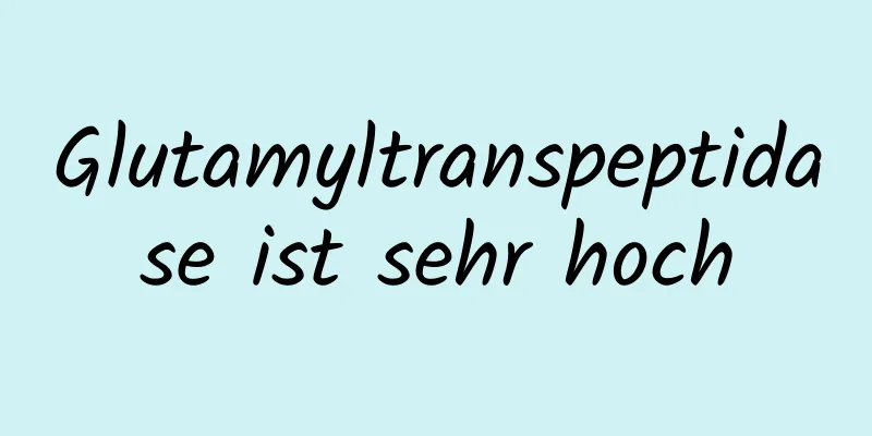 Glutamyltranspeptidase ist sehr hoch