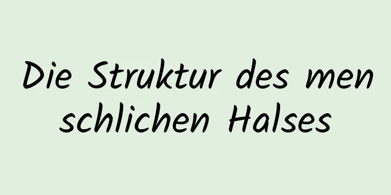 Die Struktur des menschlichen Halses