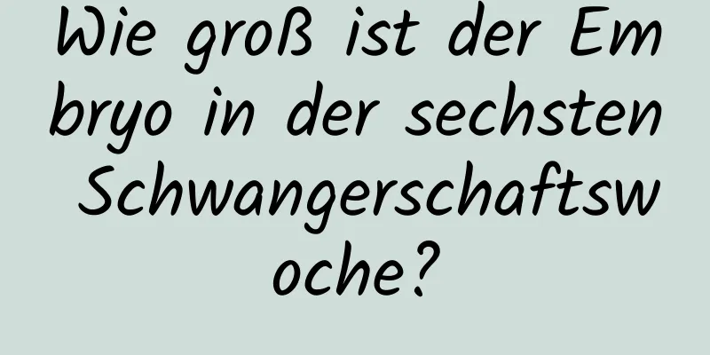Wie groß ist der Embryo in der sechsten Schwangerschaftswoche?