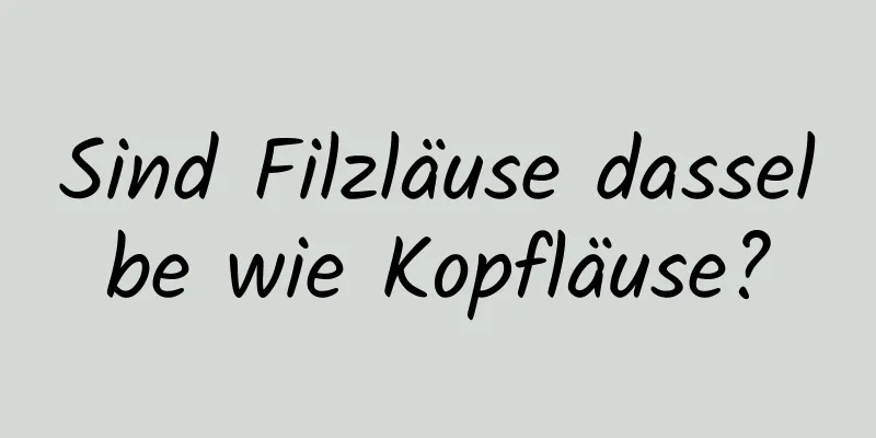 Sind Filzläuse dasselbe wie Kopfläuse?