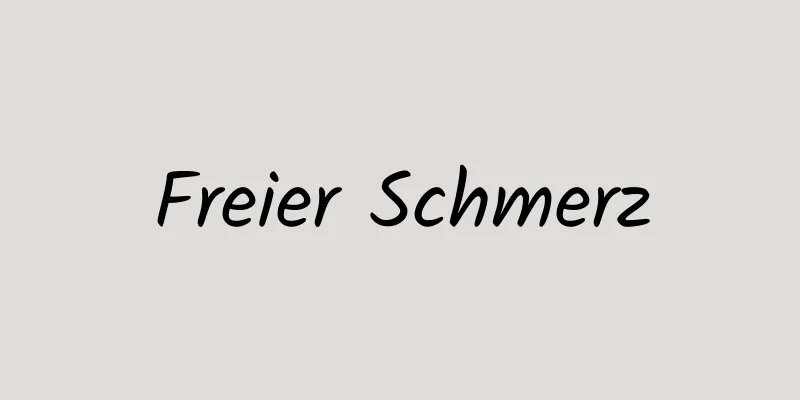 Freier Schmerz