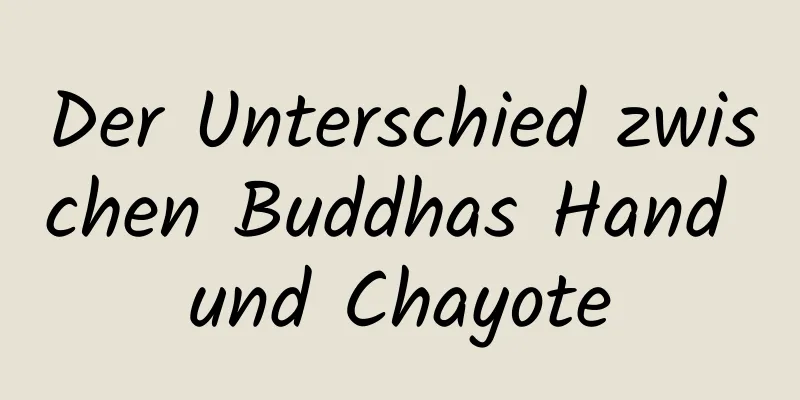 Der Unterschied zwischen Buddhas Hand und Chayote