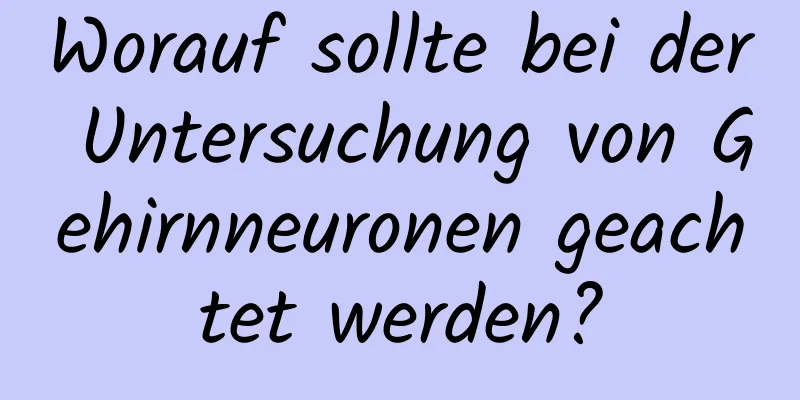 Worauf sollte bei der Untersuchung von Gehirnneuronen geachtet werden?