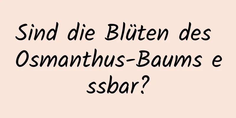 Sind die Blüten des Osmanthus-Baums essbar?