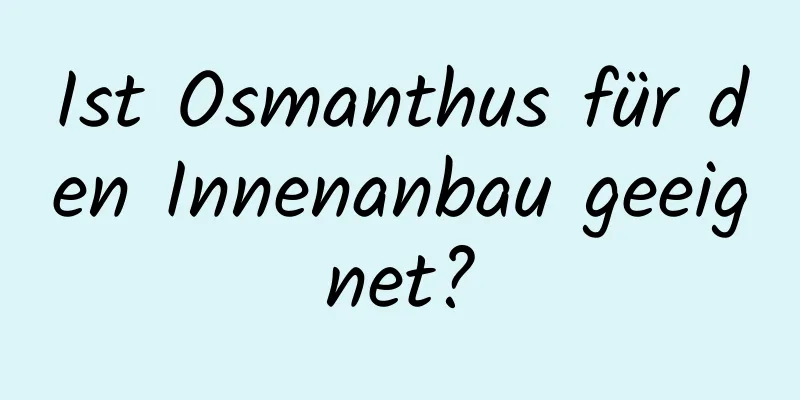 Ist Osmanthus für den Innenanbau geeignet?