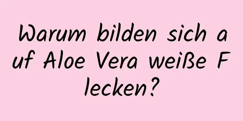 Warum bilden sich auf Aloe Vera weiße Flecken?