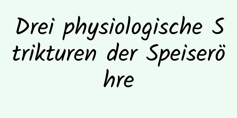 Drei physiologische Strikturen der Speiseröhre