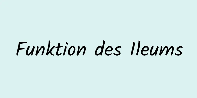 Funktion des Ileums