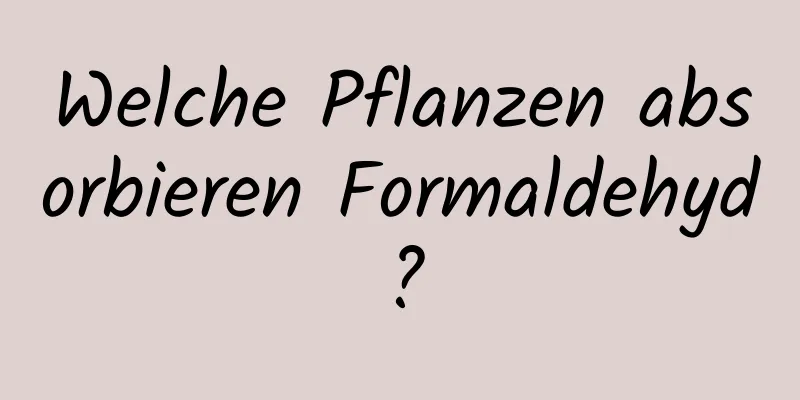Welche Pflanzen absorbieren Formaldehyd?