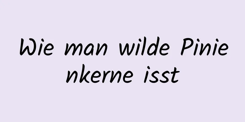 Wie man wilde Pinienkerne isst
