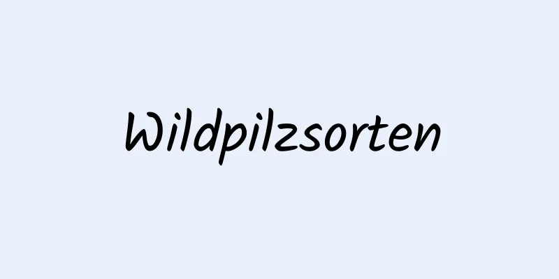 Wildpilzsorten