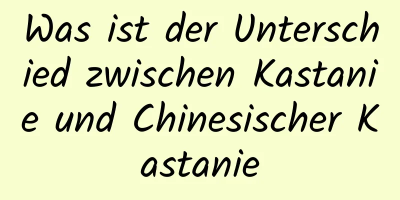 Was ist der Unterschied zwischen Kastanie und Chinesischer Kastanie