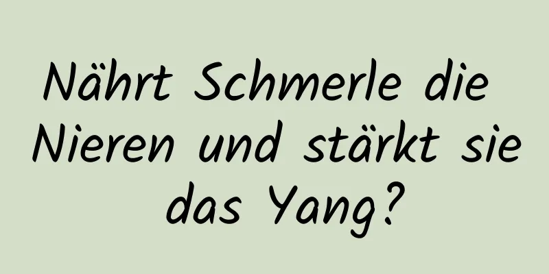 Nährt Schmerle die Nieren und stärkt sie das Yang?